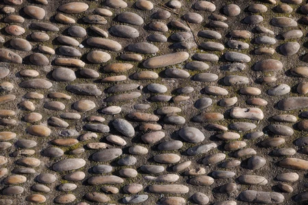 Stone Pattern Texture