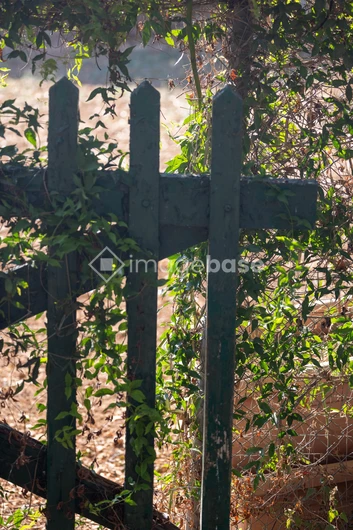 Rustic Garden Gate